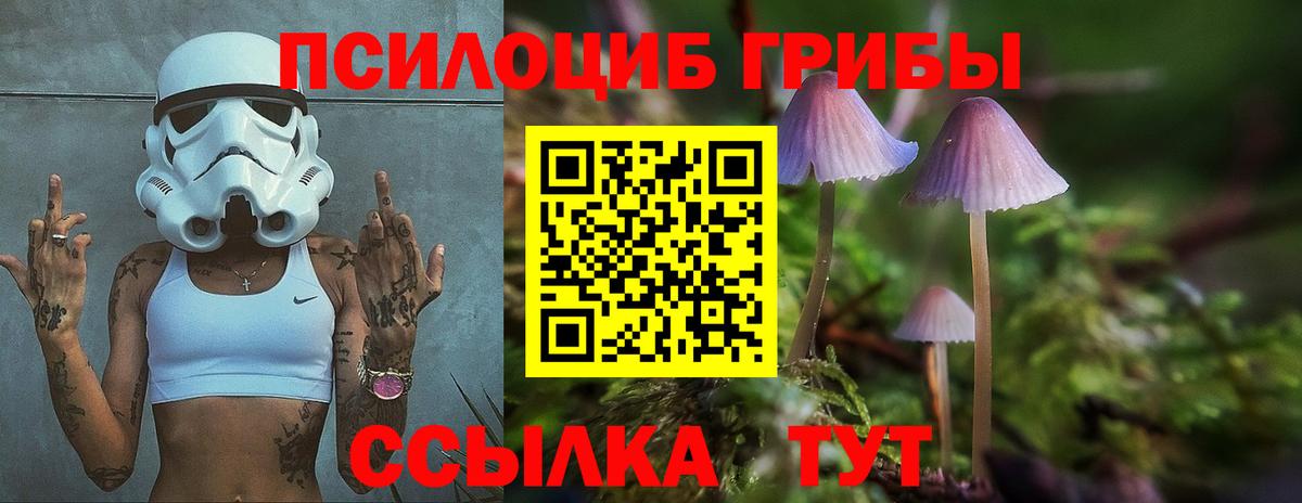 Кстово  Галлюциногенные грибы GOLDEN TEACHER  Галлюциногенные грибы Psilocybine cubensis  Вход с VPN 